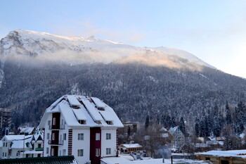В Домбае проведут Фестиваль горного чая 