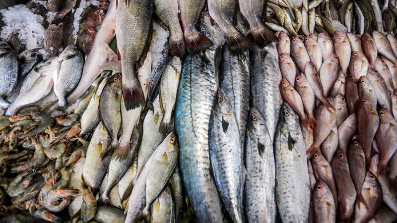 В МИД Бразилии сообщили о расширении поставок мяса и рыбы в Россию