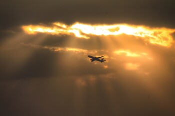 В Минтрансе предлагают собирать данные об IP-адресах туристов