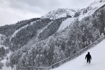 В Сочи спасли травмированного горнолыжника 