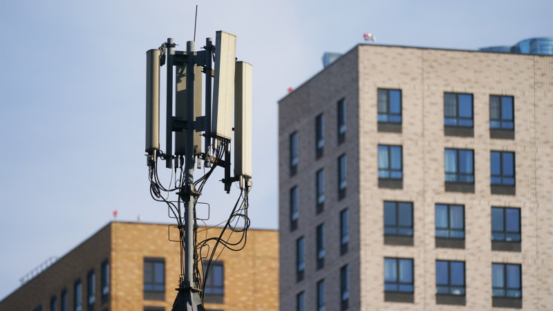 Высшее преобразование: студентам и преподавателям вернут сотовую связь