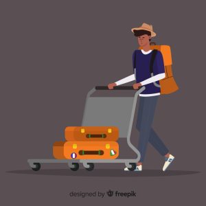 Интроскопы: современные технологии и методы досмотра грузов для обеспечения безопасности и эффективного контроля