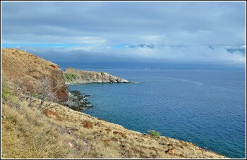 На Гавайях рифовая акула напала на ребёнка 