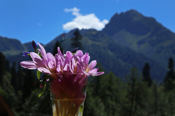 Названы популярные направления у туристок на 8 Марта