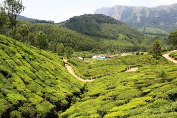 В Индии в ущелье сорвался автобус с туристами 