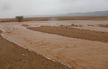 В ОАЭ из-за сильных ливней введён «оранжевый» уровень опасности 