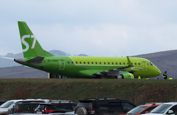 В Томске с рейса сняли пьяного дебошира, кидавшегося яблоками 