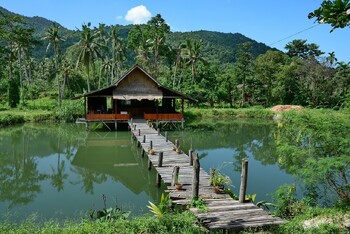 Власти Таиланда предупреждают об угрозе вспышки сибирской язвы