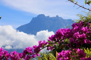 На острове Борнео в Малайзии пройдёт крупный музыкальный фестиваль