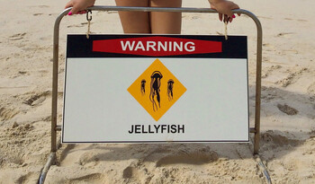 На пляжах турецкой Анталии появились большие медузы