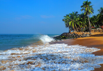 На Шри-Ланке могут продлить выдачу бесплатных виз для россиян 