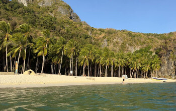 Роспотребнадзор советует туристам делать прививки от кори