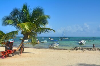 У берегов Мексики произошло землетрясение 