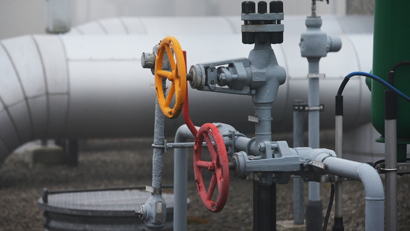 Эксперт оценил планы Болгарии отсудить у «Газпрома» €400 млн за остановку поставок