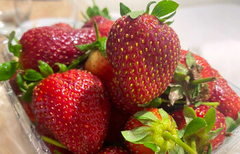 Фестиваль клубники пройдёт в Краснодаре