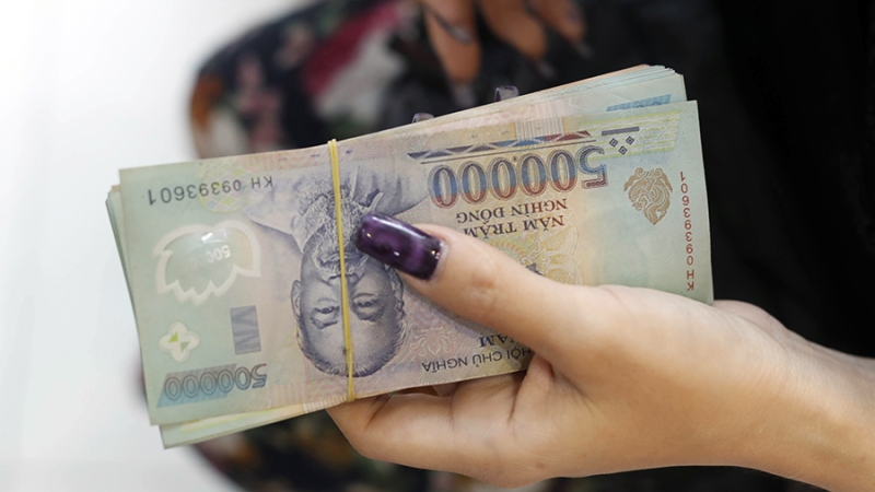 Эксперт объяснил рост доли расчетов в нацвалютах между РФ и Вьетнамом