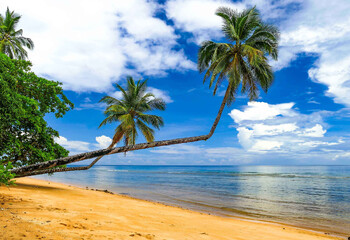 Индонезия в первом квартале приняла более 50 000 туристов из РФ 