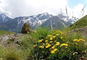 На Эльбрусе погиб альпинист из Рязанской области