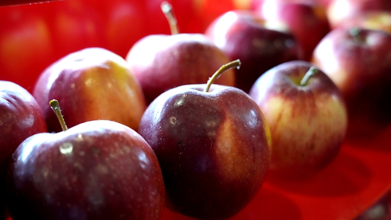 Путин поручил не допустить скачков цен на яблоки из-за заморозков