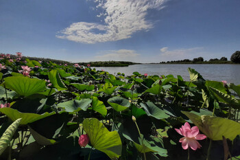 Астраханская область может ввести экологический турсбор 