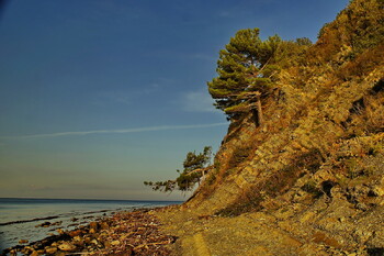 Туристы устроили лесной пожар в бухте Инал под Туапсе 