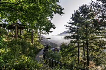 В Южной Корее из-за ливней отменяют авиарейсы и эвакуируют жителей 