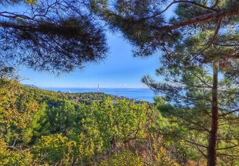 В окрестностях Сочи произошло землетрясение 