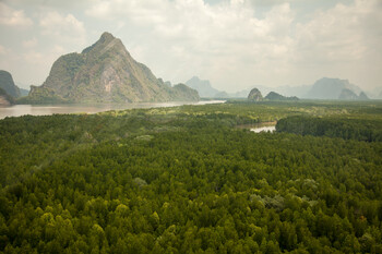 На Пхукете в результате схода оползня погибли двое россиян 