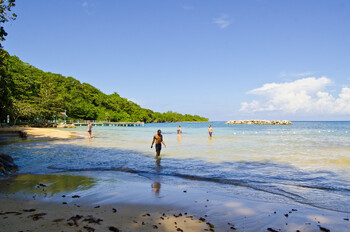 На пляже Ямайки акула напала на подростка 