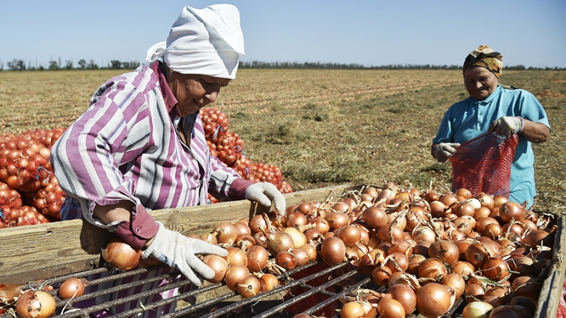 Путин указал на рост сельского хозяйства и промышленности в Вологодской области