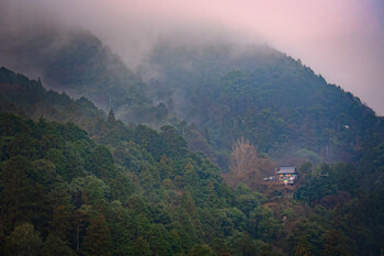В Японии из-за тайфуна «Шаньшань» погибли и пострадали люди  