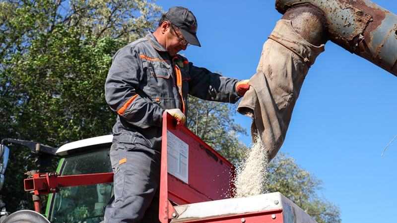 Экономист указал на конкурентоспособность российских удобрений на мировых рынках