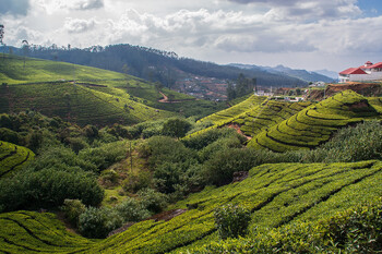 Посольство РФ на Шри-Ланке призвало россиян к осторожности в этой стране 