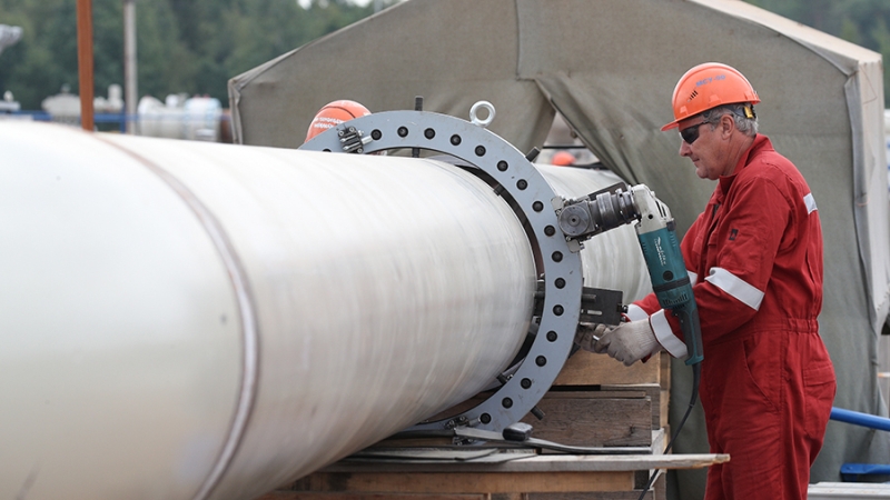 Захарова рассказала о планах ЕС добиться сокращения поставок газа из России