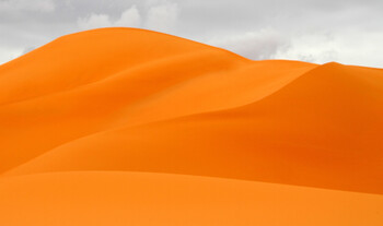 Пустыню Сахара затопило после сильных ливней 