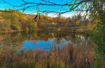 В Молдавии легкомоторный самолёт упал на территории турбазы 