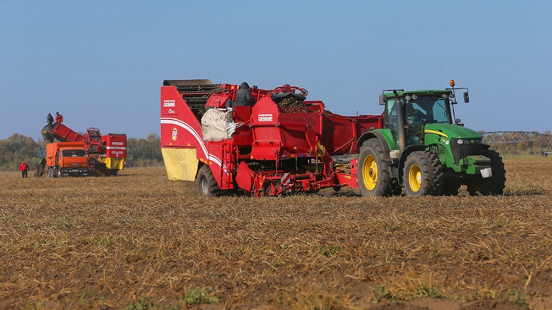 Патрушев заявил о разработке мер помощи Минсельхозу на 40 млрд рублей