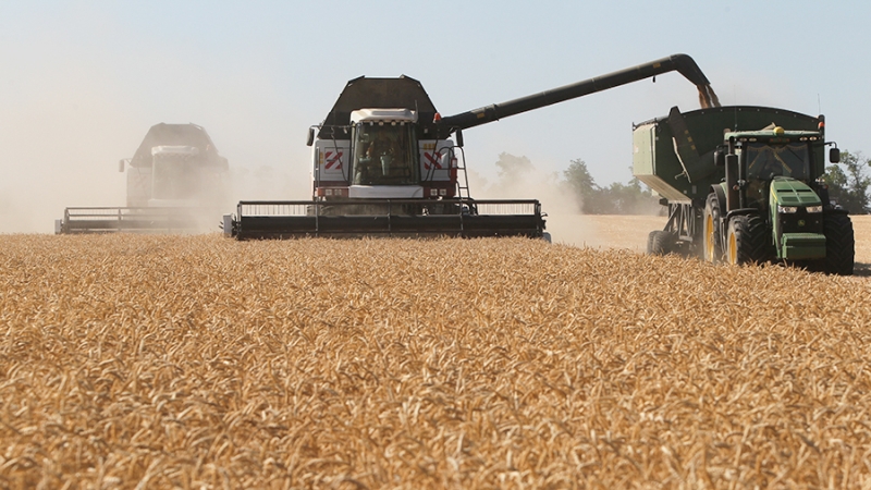 Патрушев заявил о сборе в РФ 130 млн т зерна в весе до обработки