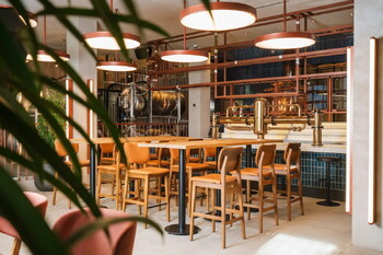 В горах Сочи открылся центр гастрономического туризма «Птицы захмелели» 