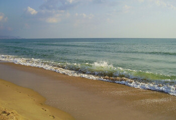 Центральные пляжи Анапы полностью очищены от мазута