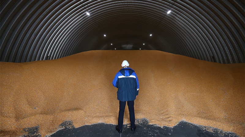 Экономист объяснил рост темпов производства в обрабатывающей промышленности в РФ