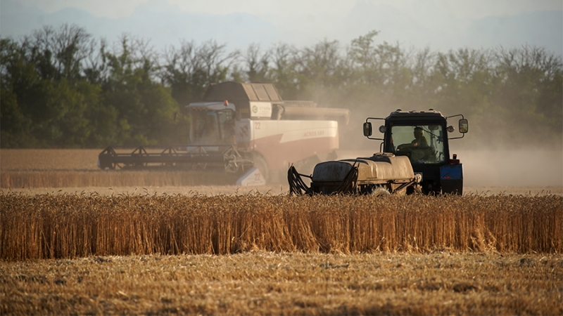 Лут сообщила о плане Минсельхоза обеспечить лидерство России в сфере АПК