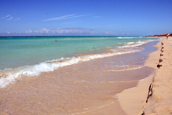 На Кубе у берегов известного курорта появилась акула