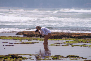 Посольство РФ на Шри-Ланке просит туристов не ловить насекомых и ящериц