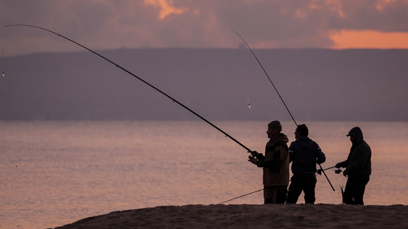 Российские рыбаки поставили рекорд по добыче иваси