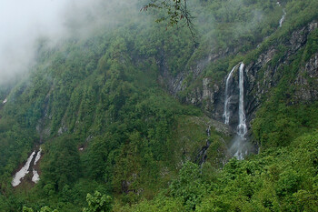 Сочинский нацпарк пострадал от непогоды