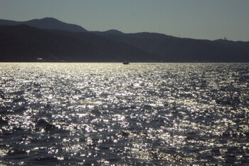 Территория загрязнения мазутом Черноморского побережья на Кубани выросла