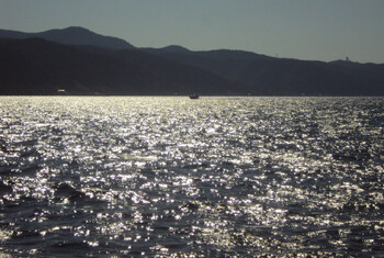 В Краснодарском крае введён режим ЧС из-за разлива мазута в море