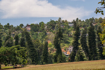 Автобус с российскими туристами попал в аварию на Шри-Ланке