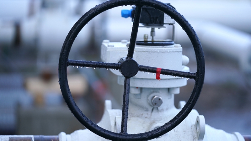 Эксперт не исключил увеличения экспорта газа из России в ЕС